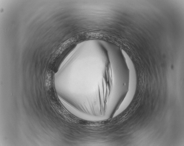 X0000053090708200508081311