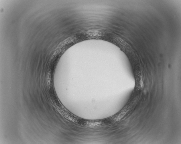 X0000053090710200508081311