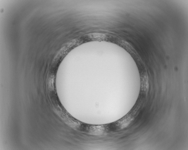 X0000053090717200508081311