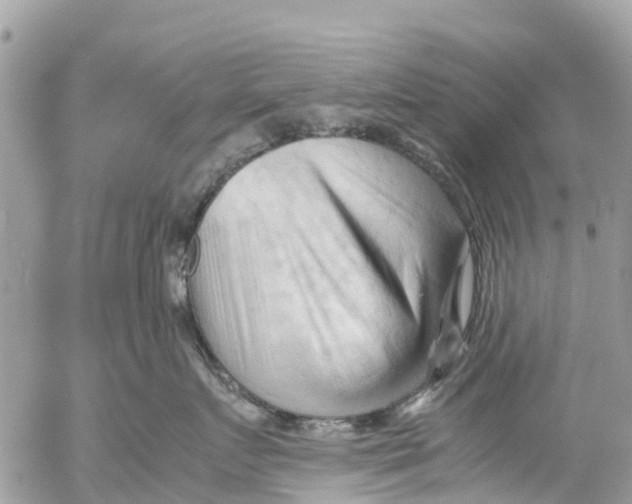 X0000053090719200508081311