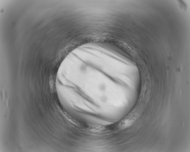 X0000053090720200508081311