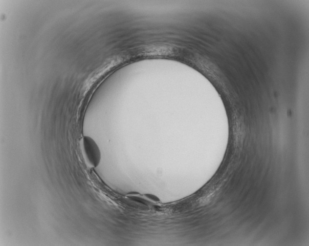 X0000053090721200508081310