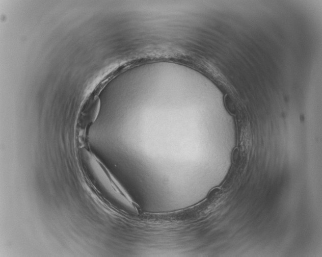 X0000053090722200508081310