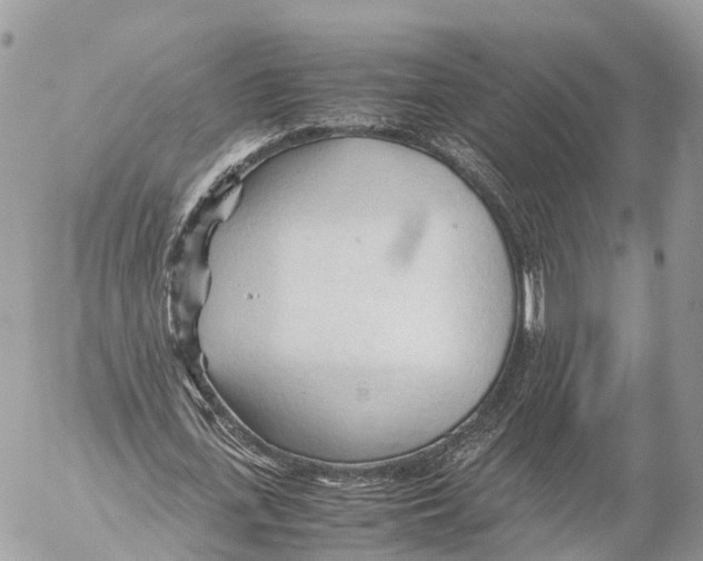 X0000053090723200508081310