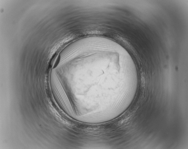 X0000053090725200508081310