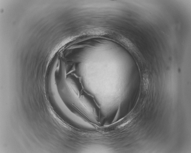 X0000053090726200508081310