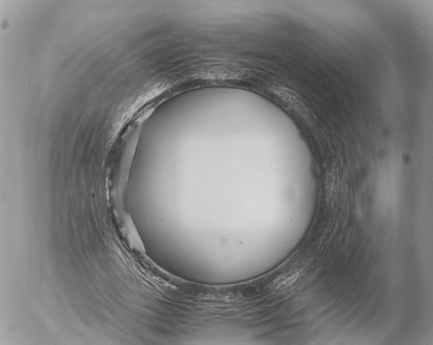 X0000053090727200508081310