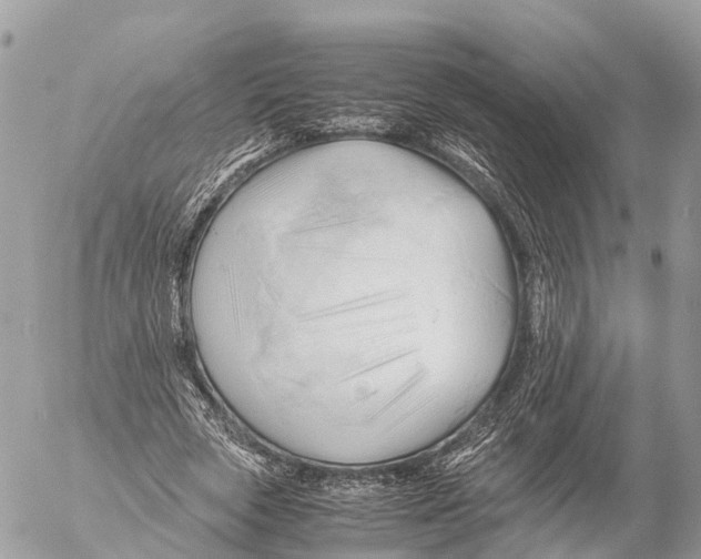 X0000053090729200508081310