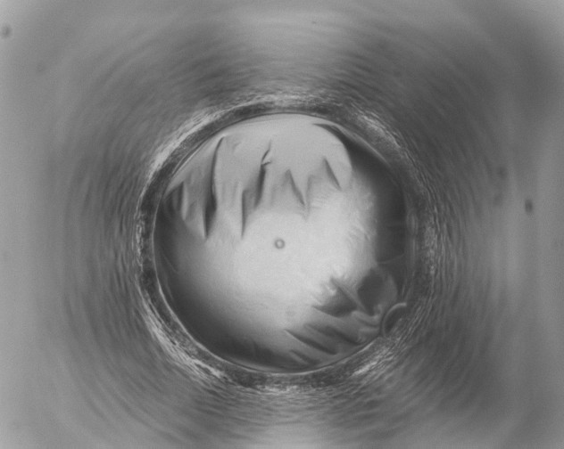 X0000053090730200508081310