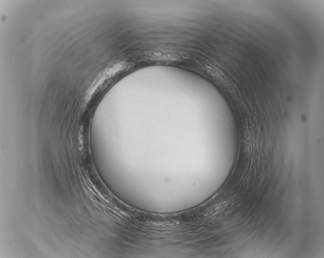 X0000053090731200508081310