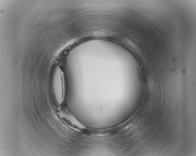 X0000053090732200508081310