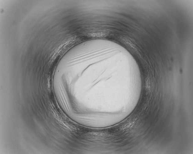 X0000053090733200508081310