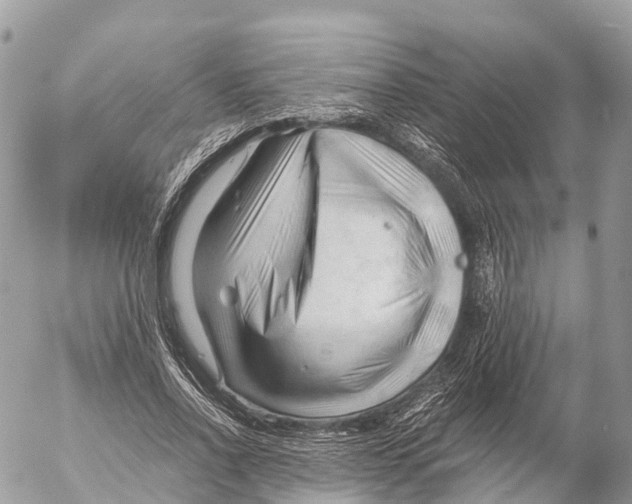 X0000053090734200508081310