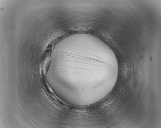 X0000053090735200508081310