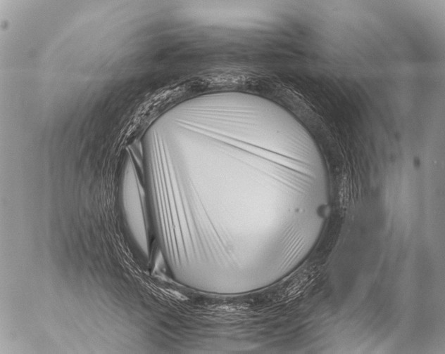 X0000053090737200508081310