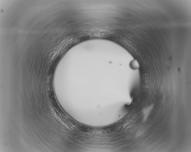 X0000053090738200508081310