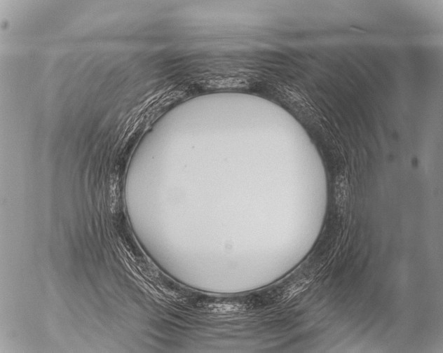 X0000053090741200508081310