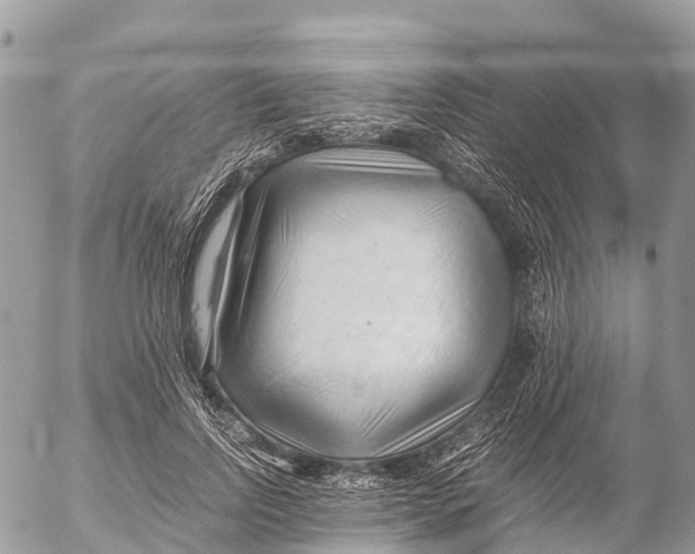 X0000053090742200508081310