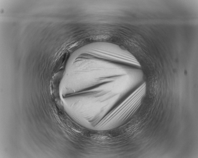 X0000053090743200508081310