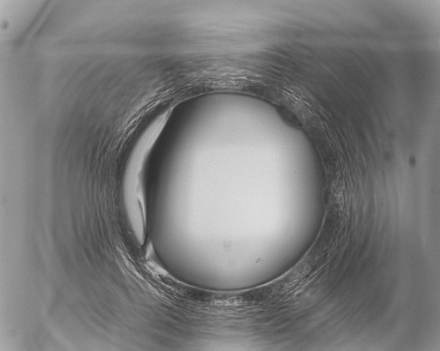 X0000053090744200508081310