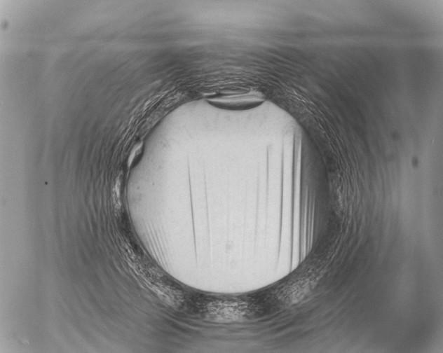 X0000053090745200508081310