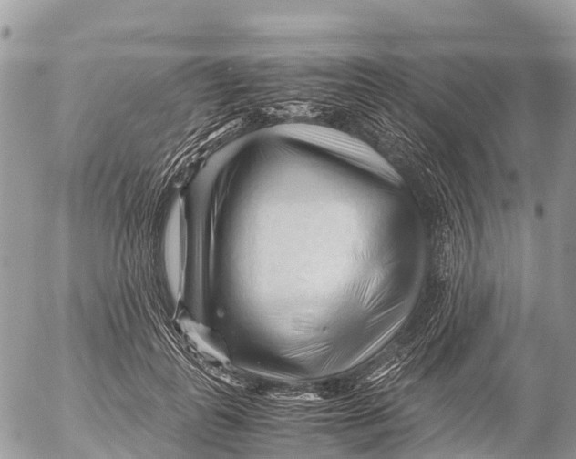 X0000053090747200508081310