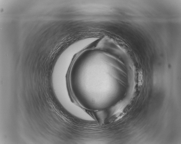 X0000053090750200508081310