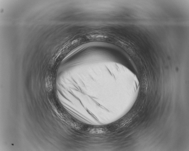 X0000053090751200508081310