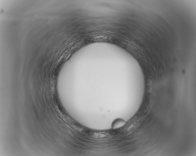 X0000053090753200508081310