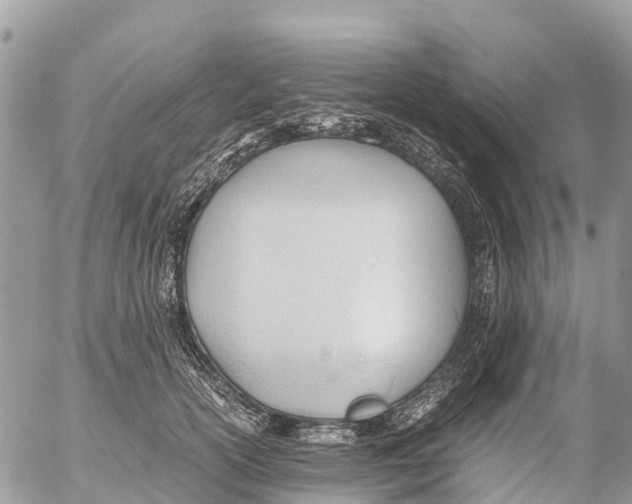 X0000053090754200508081310