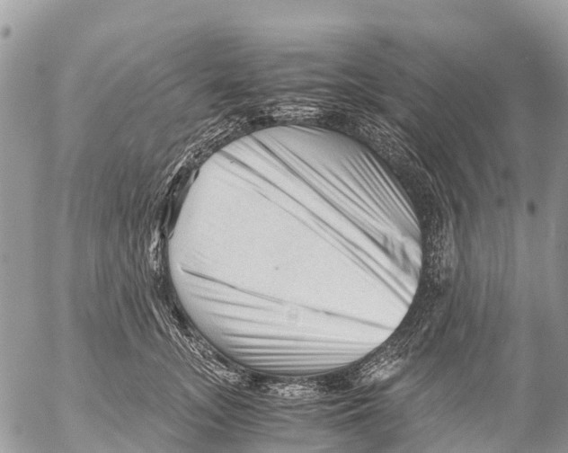 X0000053090755200508081310