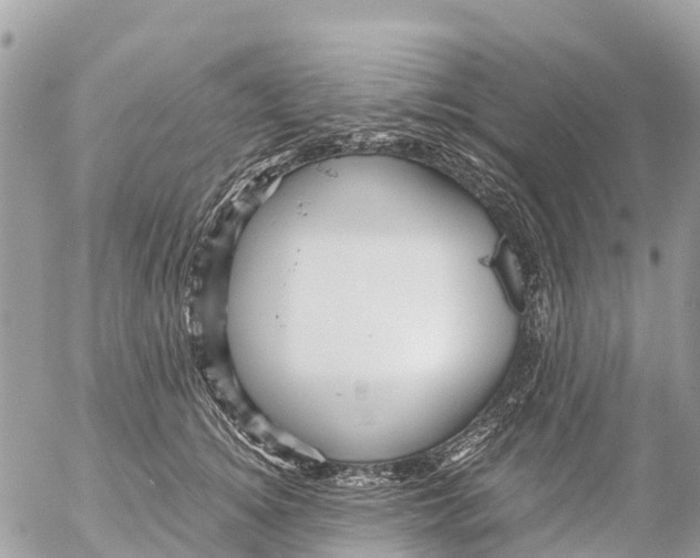 X0000053090756200508081310