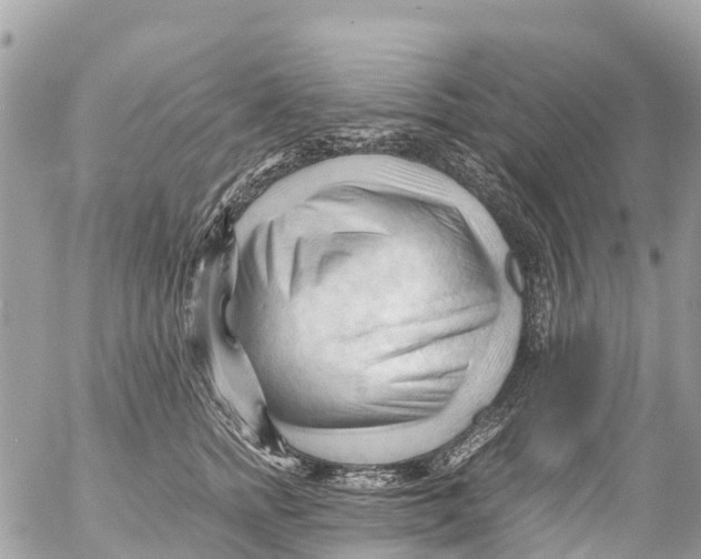 X0000053090758200508081310