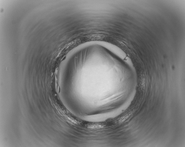 X0000053090759200508081310