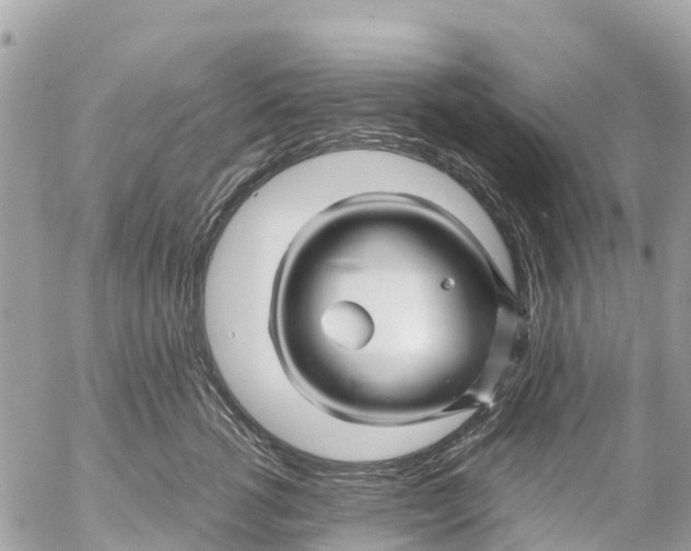 X0000053090762200508081310