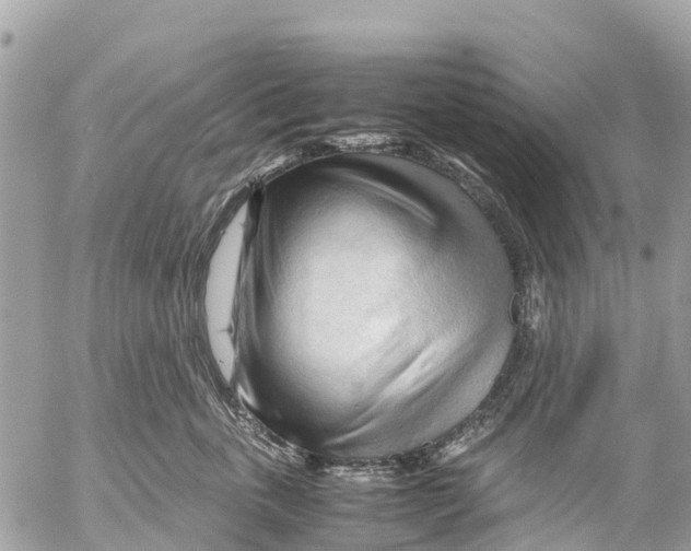 X0000053090763200508081310