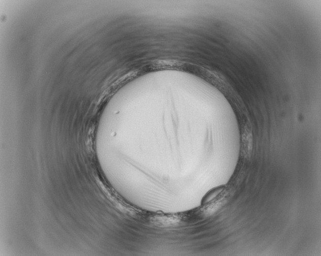 X0000053090765200508081311