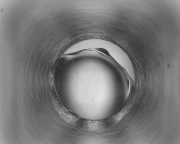 X0000053090766200508081311