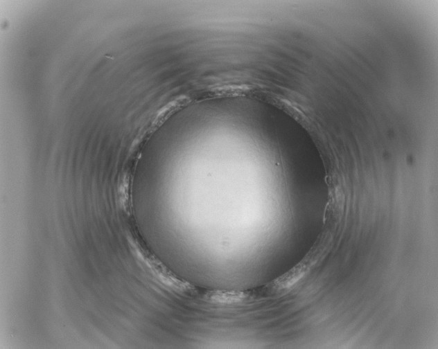 X0000053090767200508081311