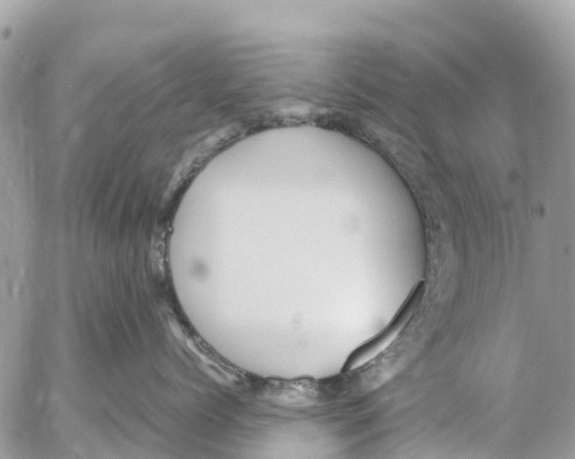 X0000053090768200508081311