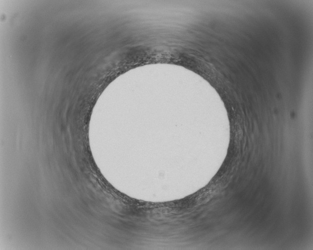 X0000053090769200508081310