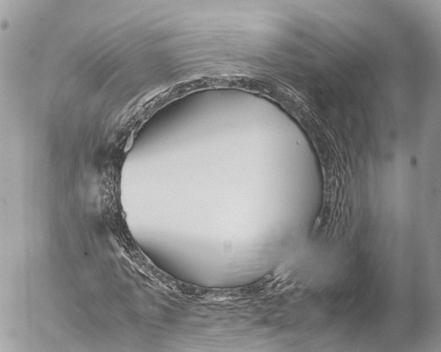 X0000053090773200508081310