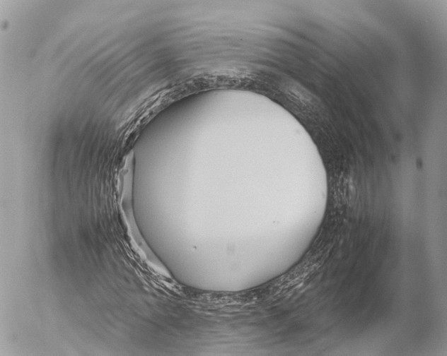 X0000053090774200508081310