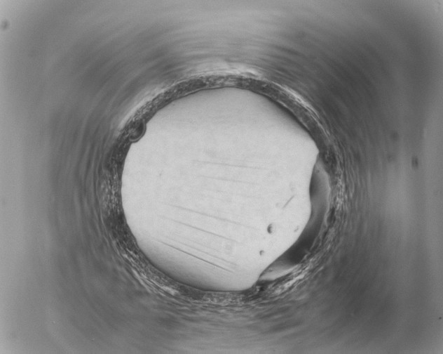 X0000053090775200508081310