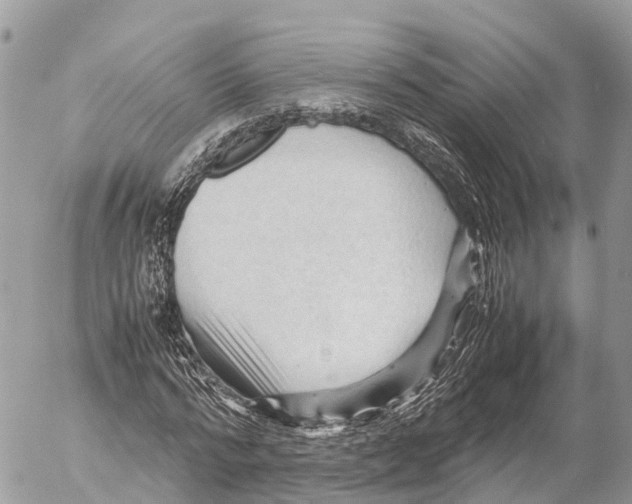 X0000053090776200508081310