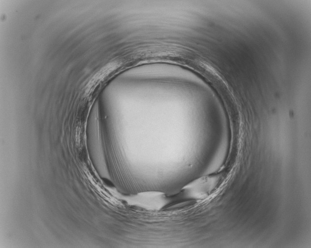 X0000053090777200508081310