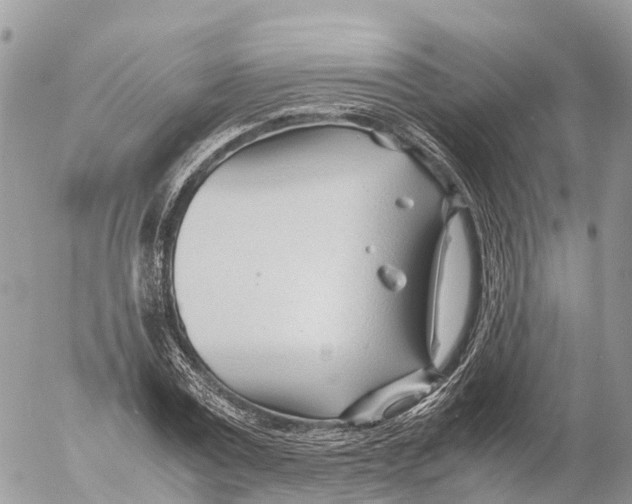 X0000053090779200508081310