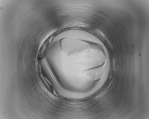 X0000053090780200508081310