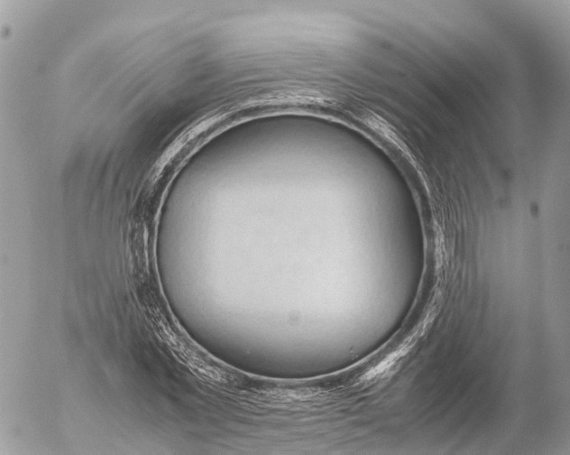 X0000053090781200508081310