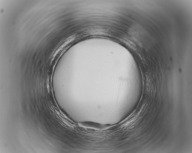 X0000053090782200508081310